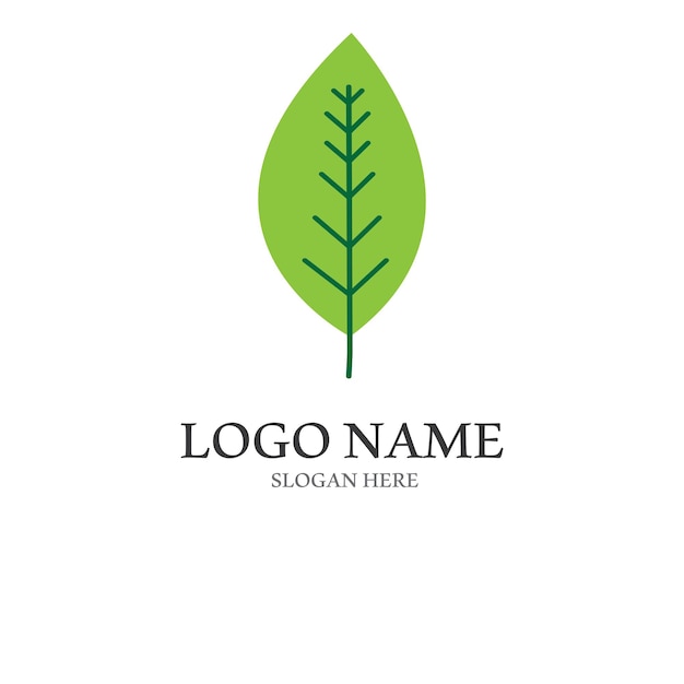 Natural green leaf logo With an illustration logo design in a modern style A logo for health and care