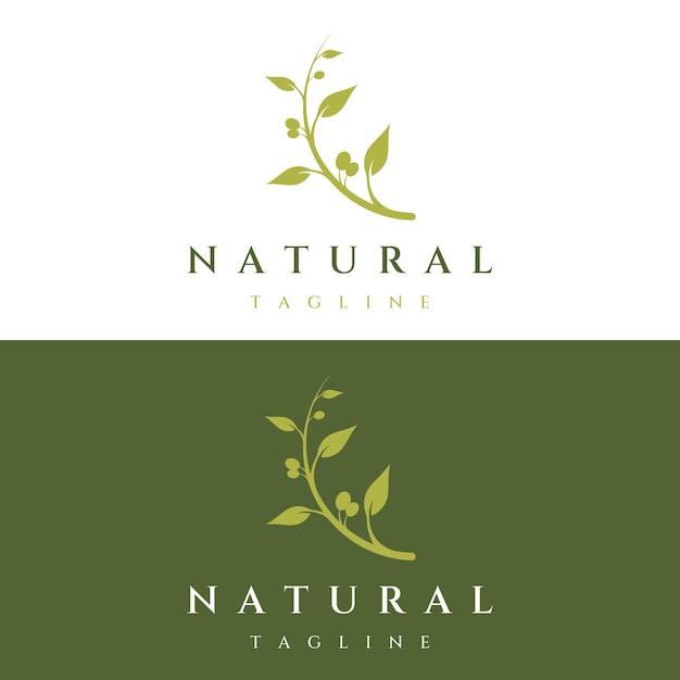 Natural herbal olive and oil logo design with olive branch Logo for business branding herbal medicine and spa