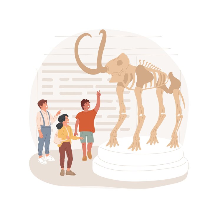 Vector natural history museum trip isolated cartoon vector illustration
