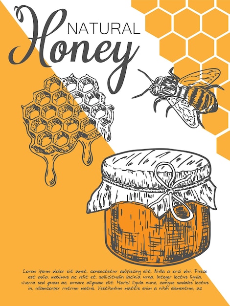 Natural honey promo card vector design template