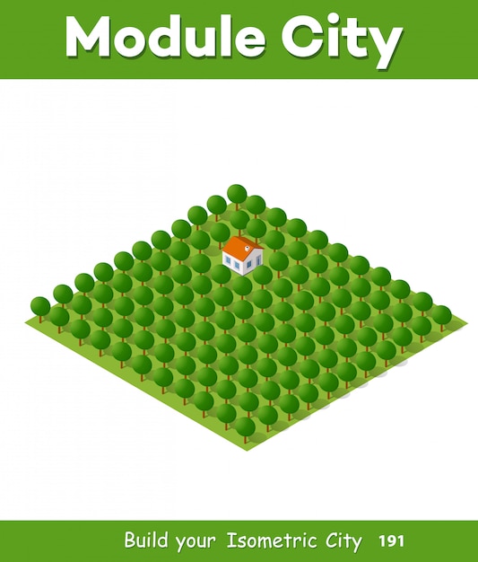 natural landscape isometric