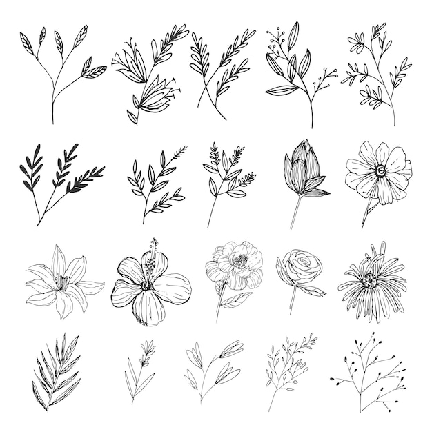 Natural leaf and flower wild art forest collection in line art style