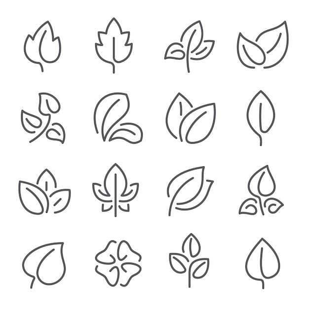 Vector natural leaf line icons. leaves of plants eco green fertilizer outline pictograms