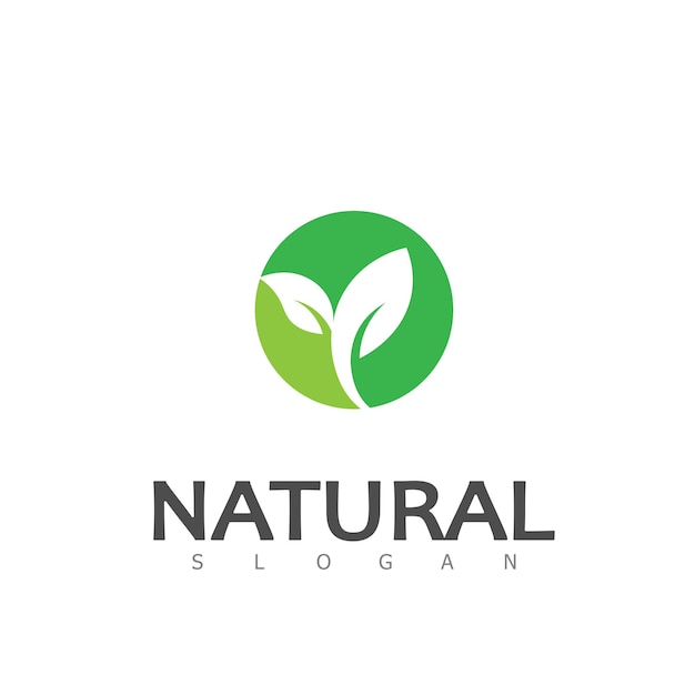 Natural Leaf nature eco Logo Design Template