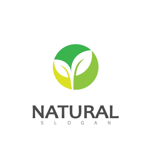 Natural Leaf nature eco Logo Design Template