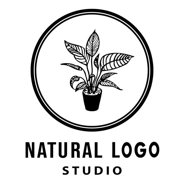 Vettore disegni di studio di logo naturali