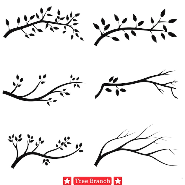 Natural Nobility Regal Tree Branch Vector Collection