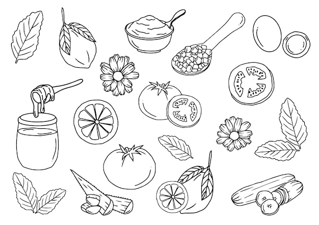 Vettore frutta e verdura biologica naturale doodle clip art prodotto biologico ingredienti grezzi contorno mano disegnare vettore