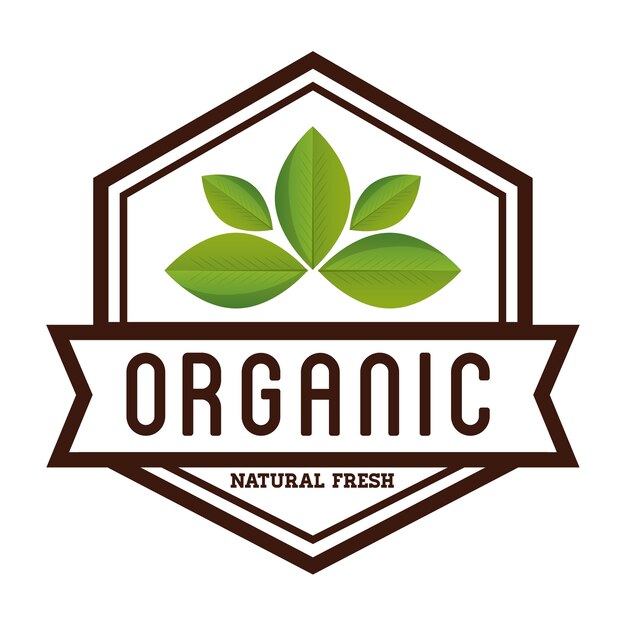 Natural and organic graphic design