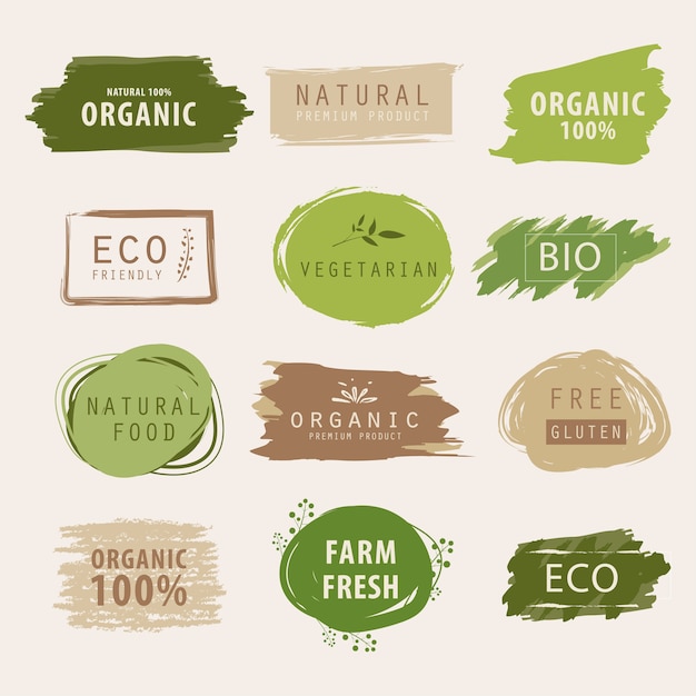 Vector natural and organic green banner or label painting.