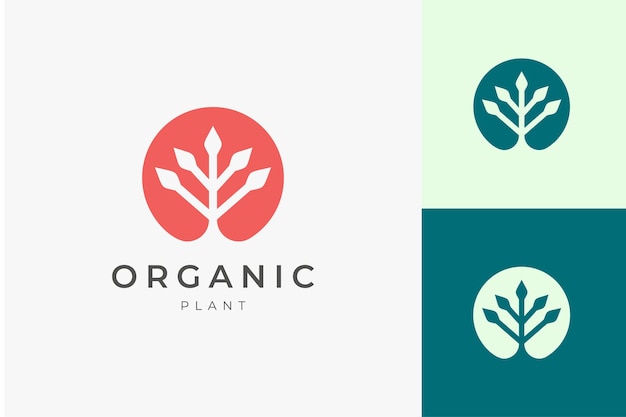 Modello di logo organico naturale con forma di pianta semplice e pulita