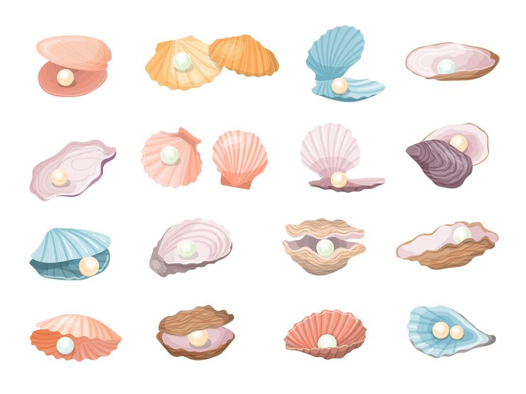 Vector natural pearl aquatic seashell with pearls recent vector luxury beautiful jewelry