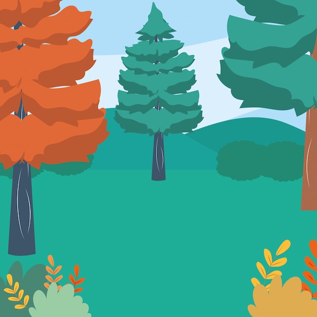 Natural pine trees  vector illustrator