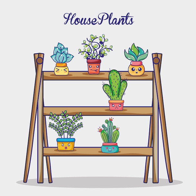 Natural plants house in wooden shelf 