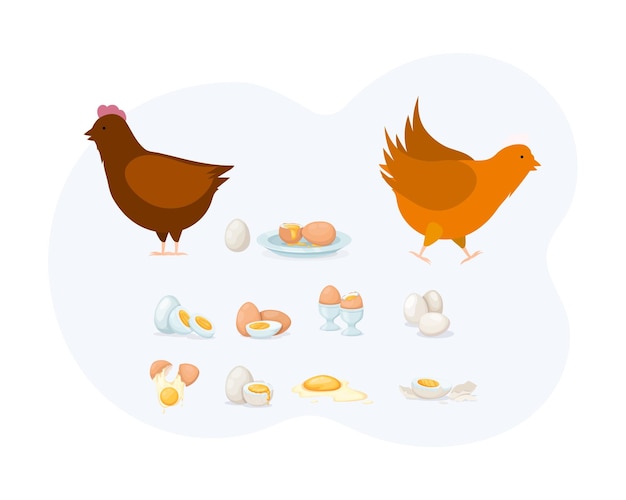 Vector natural poultry protein food elements set rooster chicken cooked and uncooked eggs