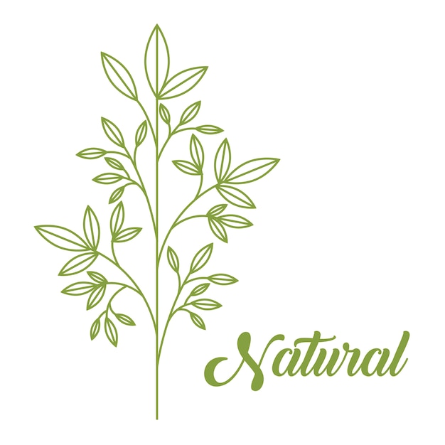 Natural products design