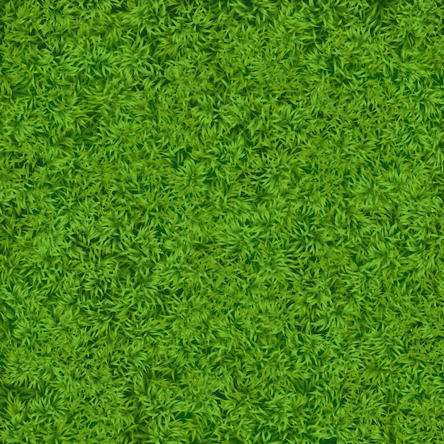 Vector natural realistic green grass texture