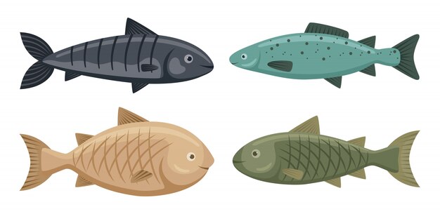 Vector natural seafood fish set