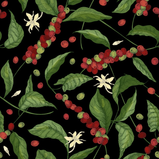 Natural seamless pattern with exotic coffea or coffee tree\
branches, leaves, blooming flowers, buds and fruits or berries on\
black