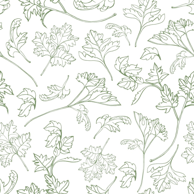 Natural seamless pattern with parsley leaves hand drawn with green contour lines