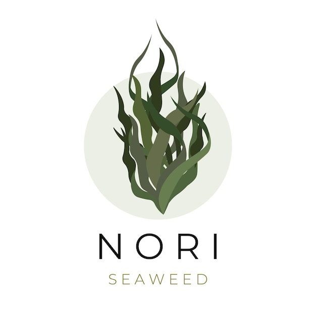 Vector natural seaweed vector illustration logo