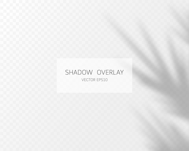 Natural shadows isolated on transparent background