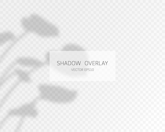 Natural shadows isolated on transparent background