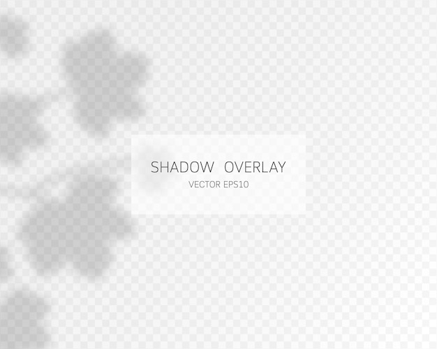 Vector natural shadows isolated on transparent background