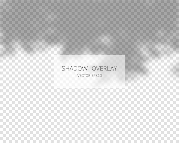 Vector natural shadows isolated on transparent background