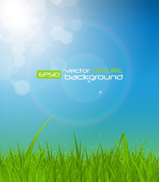 Vector natural sunny on background vector illustration eps10