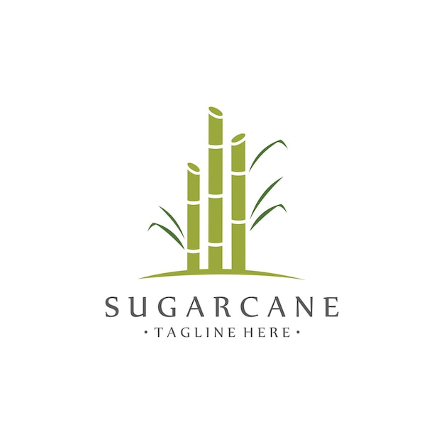 Natural Sweet Sugar Cane Plant Logo Template
