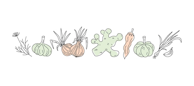 Vettore cibo vegetariano naturale icone di linea zanzaro cipolla aglio aneto e peperoncino setf verdura doodle
