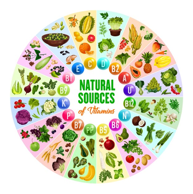 Vector natural vitamin vegetarian food sources