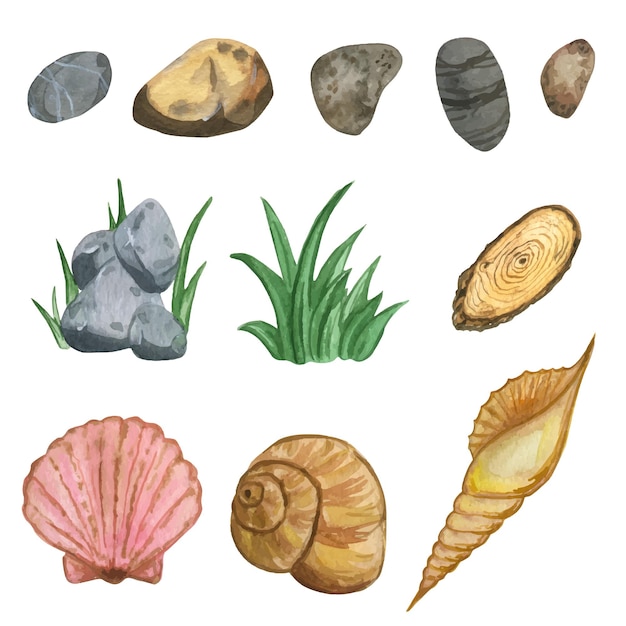 Natural watercolor elements, stones and shells