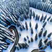Вектор Естественный зимний пейзаж с воздуха с воздуха на сосновом заснеженном лесу, векторная иллюстрация