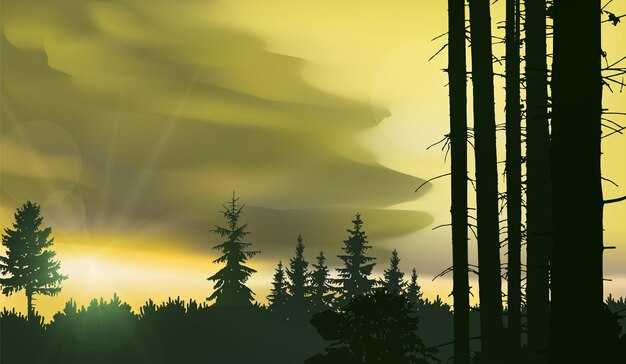 Vector nature background panorama of forest pine trees and trunks sunset yellow and grey tones