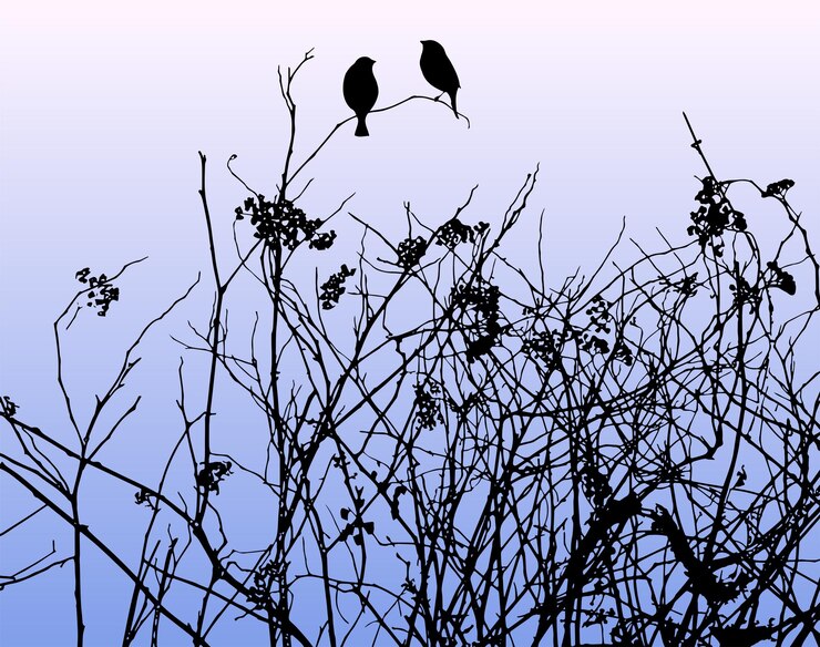 Vector nature background of silhouettes birds sitting on wildflowers in evening