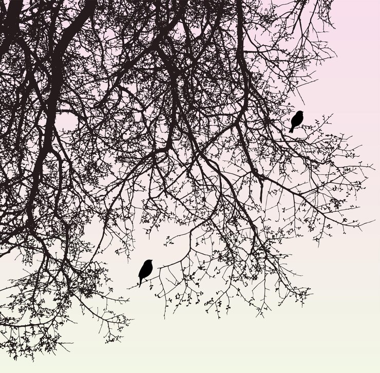 Vector nature background of silhouettes birds on tree branches in early spring morning
