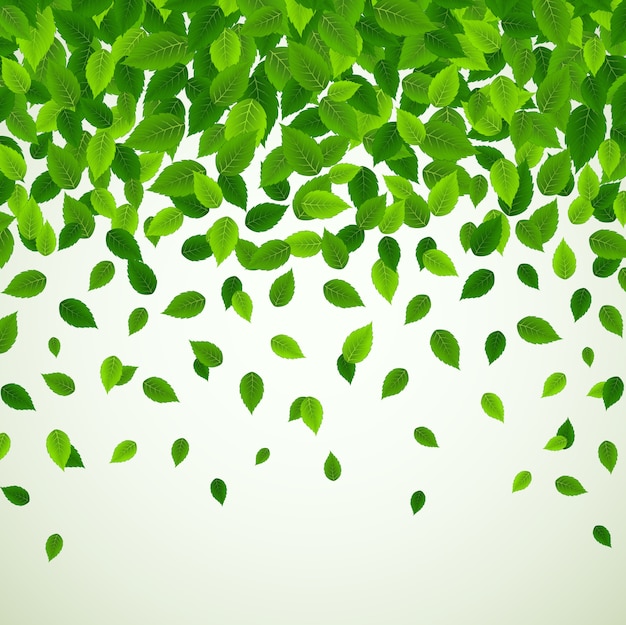 Vector nature background with fresh green leaves