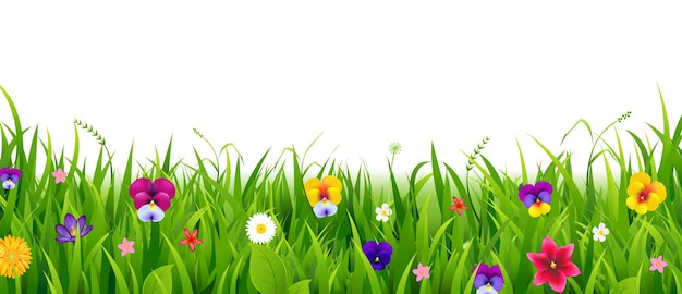 Вектор Природный фон с травяной каймой и летними цветами