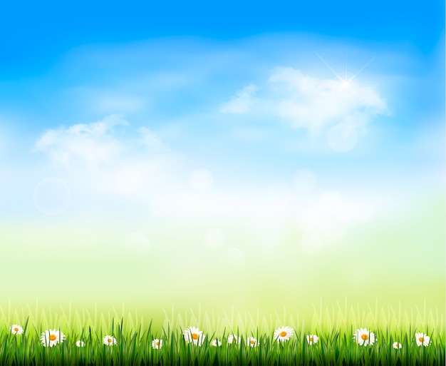 Nature background with grass and white flowers