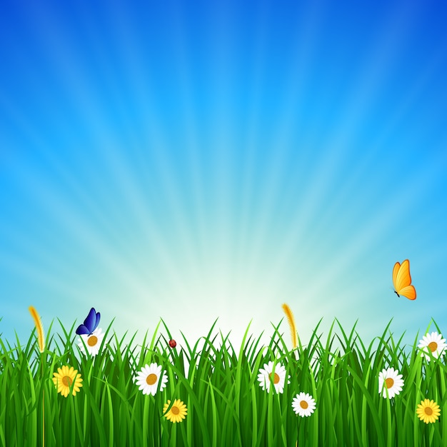 Nature background with green grass, blue sky and bright sun