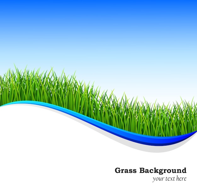 Nature background with green grass