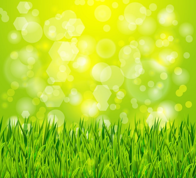 Vector nature background with green grass