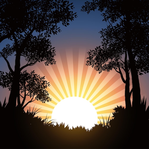 Vector nature background with sunrise in forest