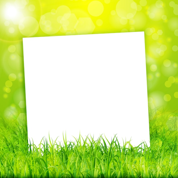 Vector nature background with white paper sheet in green grass