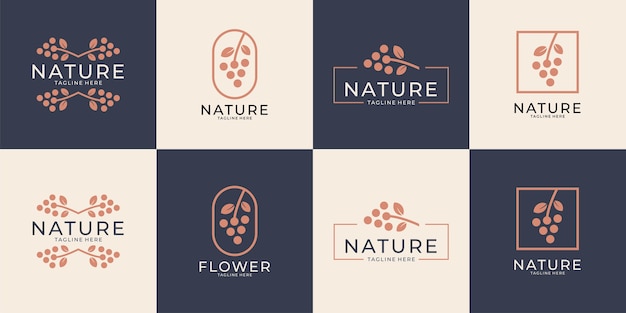 Insieme di progettazione di logo della raccolta della natura