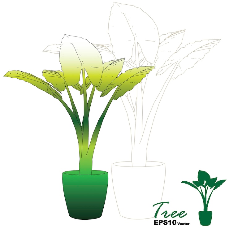 वेक्टर nature decorate of vector