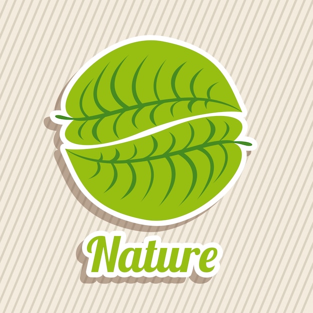 Vector nature design