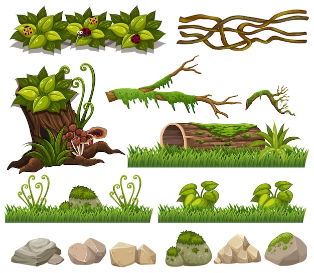 Elementi di natura con erba e rocce